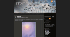 Desktop Screenshot of blog.sebastien-briere.com